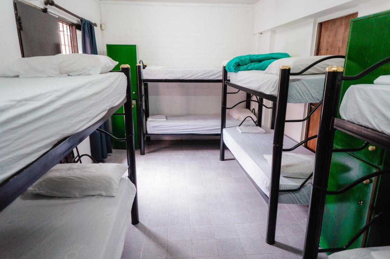 Bed in 8-Bed Mixed Dormitory Room